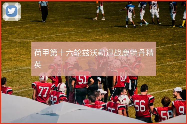 荷甲第十六轮兹沃勒迎战鹿特丹精英