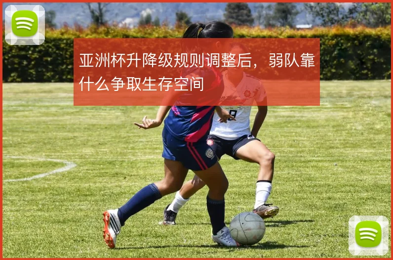 亚洲杯升降级规则调整后，弱队靠什么争取生存空间