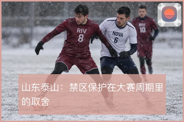 山东泰山:禁区保护在大赛周期里的取舍